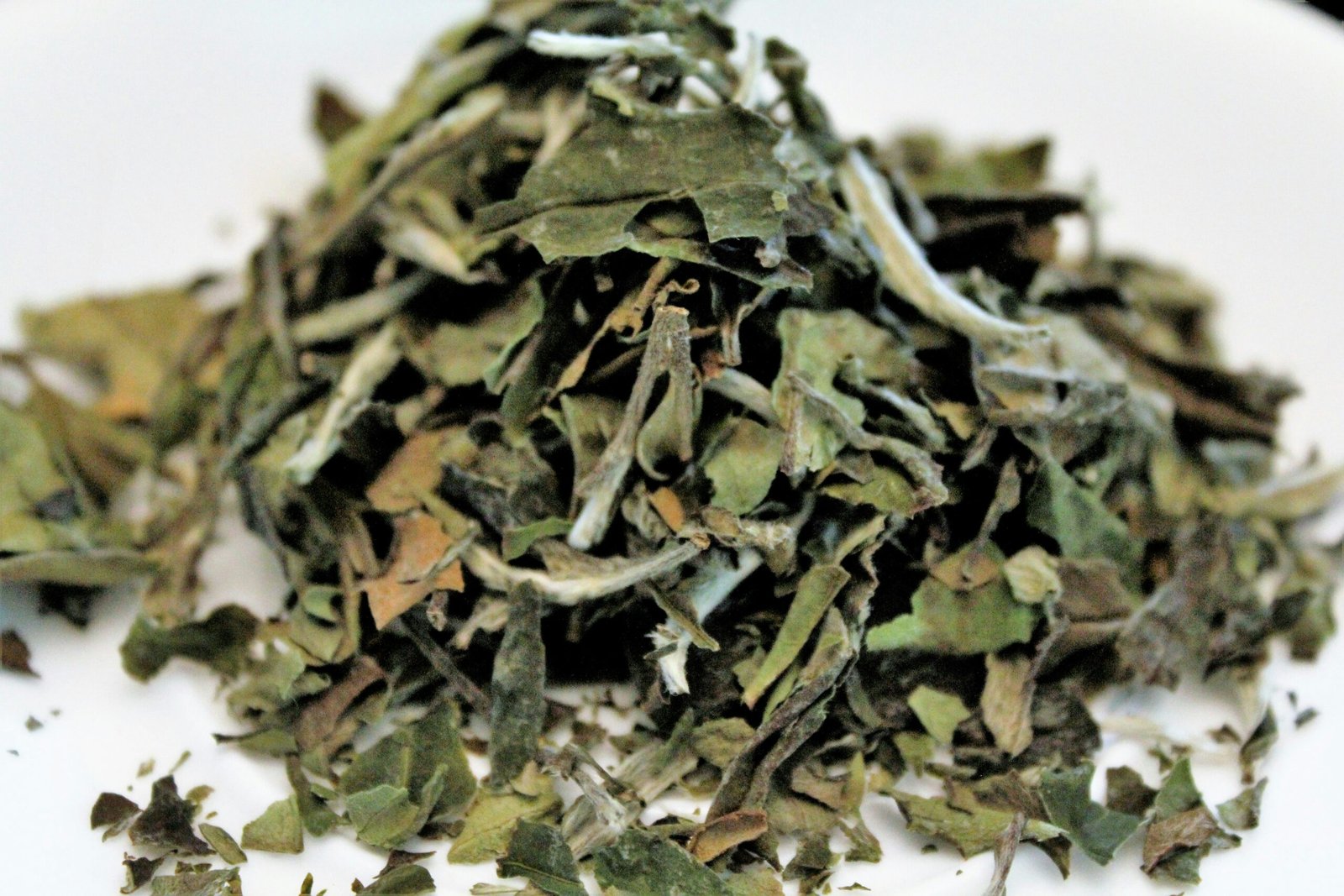 White Tea: Harvesting, Flavor, and Brewing
